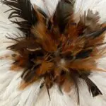 Moroccan handmade jujuhat feather decoration in shades of brown