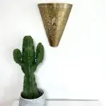 Handmade gold metal wall lamp with Moroccan pattern hanging on white wall with cactus next to it