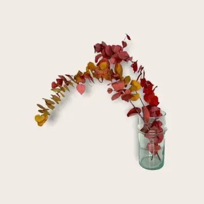 Kleine handgefertigte transparente Beldi-Vase mit roten Blumen darin