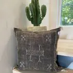 Moroccan handwoven cactus silk cushion cover in dark brown with white details, on a table with cactus behind