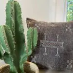 Housse de coussin marocaine en soie de cactus tissée à la main en marron foncé avec des détails blancs, derrière un cactus