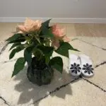 Moroccan handmade slippers in white with black sequins, on top of Beni Ouarain carpet with a plant next to it