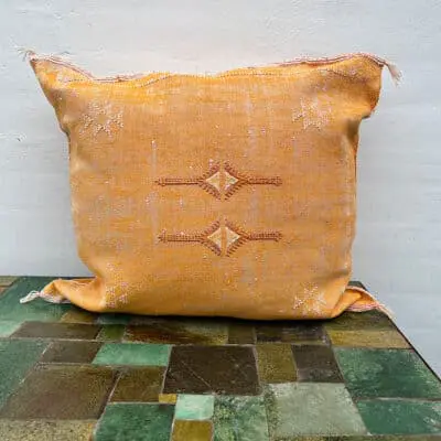 cactus silk cushion cover in orange