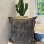 Marokkansk håndvævet pudebetræk af kaktussilke i mørkebrun farve med hvide detaljer, på et bord med kaktus bagved