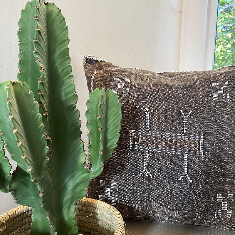 Marokkansk håndvævet pudebetræk af kaktussilke i mørkebrun farve med hvide detaljer, bagved en kaktus