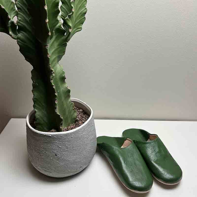 Mørkegrønne slippers ved siden af en kaktusplante