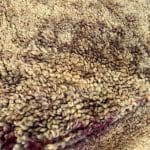 Marokkansk gulvpude_CARAMEL