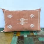 Moroccan cactus silk cushions_earth colors motif 3