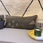 kaktussilkepuder aflange brune nuancer