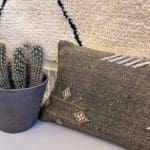 kaktussilkepuder aflange brune nuancer