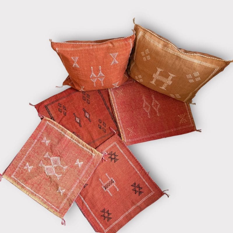 Terrakotta-Kaktuskissen