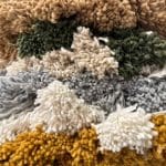 Cotton plaid, several colors