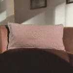 LYSEROeD_2_Cactuskussen_50x103_5