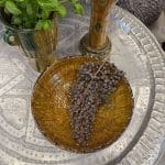 Tamegroute-skaal-gul_moerk_LS3