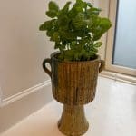 bloempot-schuilplaatsen-op-een-voet-geel-Tamegroute_8