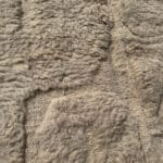 Kasbah-Teppich – Beniouarain in einem wunderschönen Taupe/Sand-Ton.